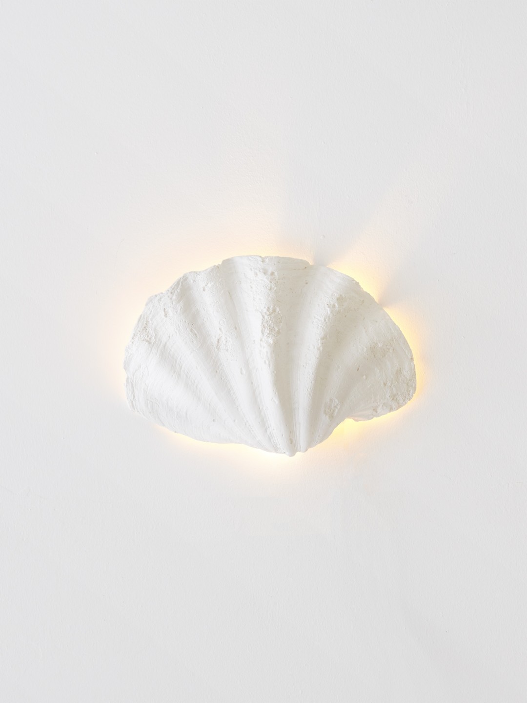 Coquillage