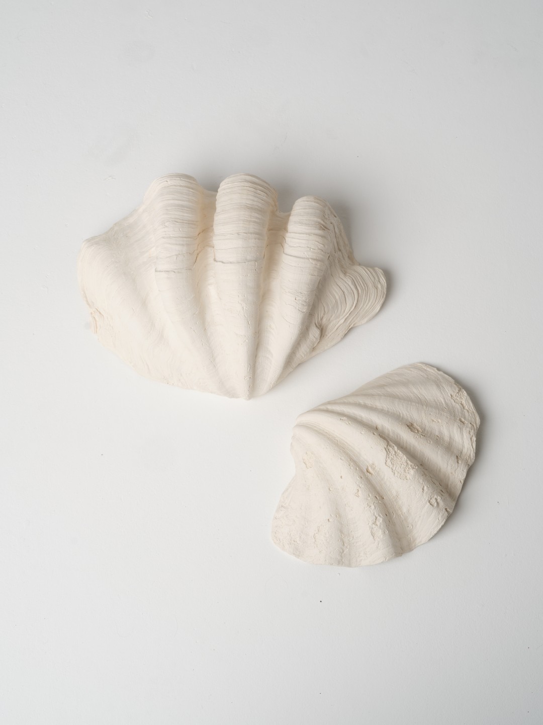 Shell Wall Plaster Shell wall lamp Axel CHAY, plaster design