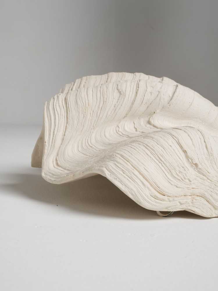Grand Coquillage