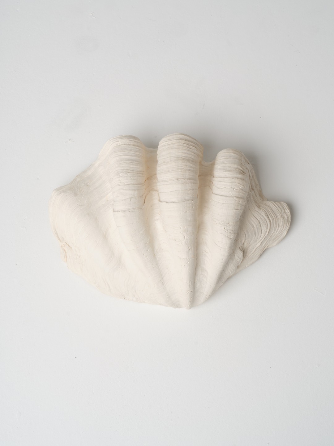 Grand Coquillage