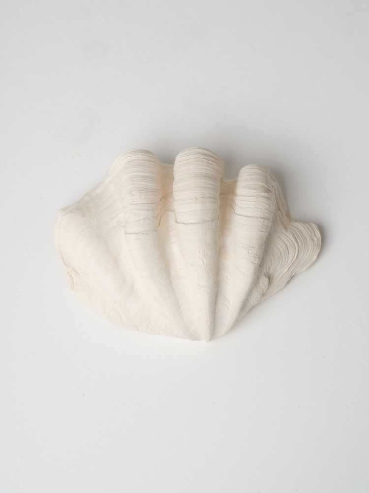Grand Coquillage