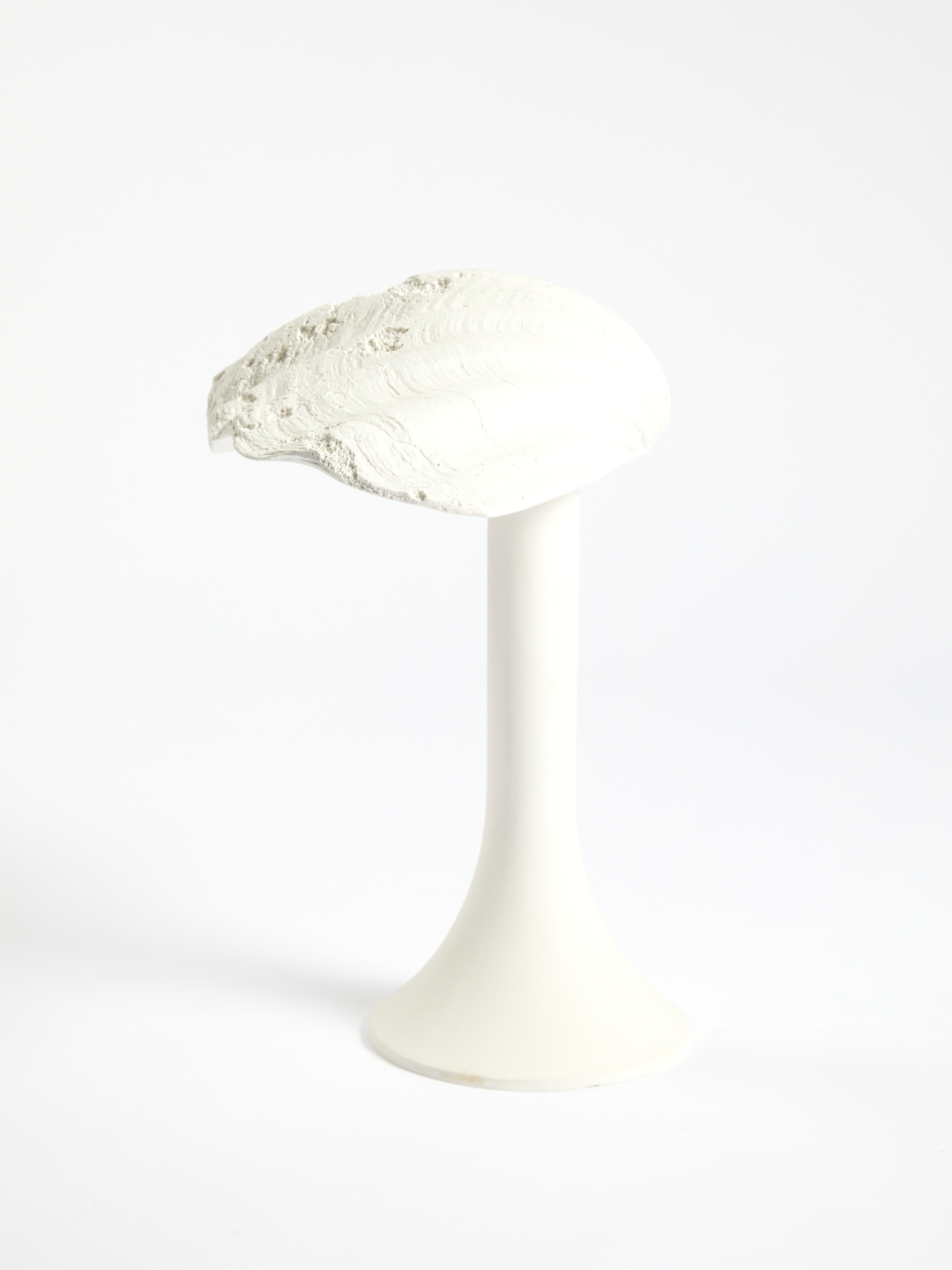 Coquillage